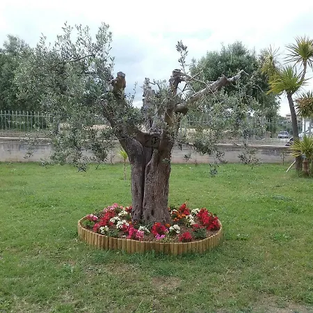 Nocleg ze śniadaniem Vecchio Ulivo