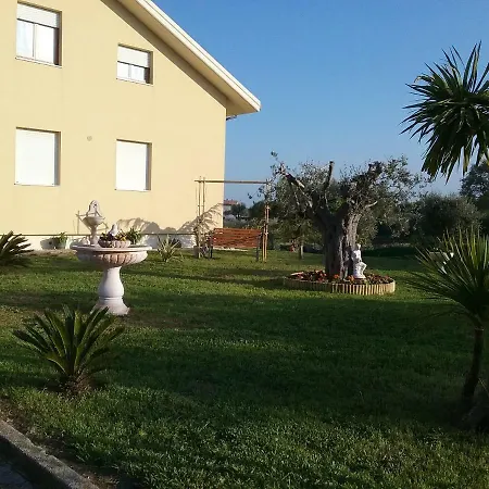 Vecchio Ulivo * Grottammare