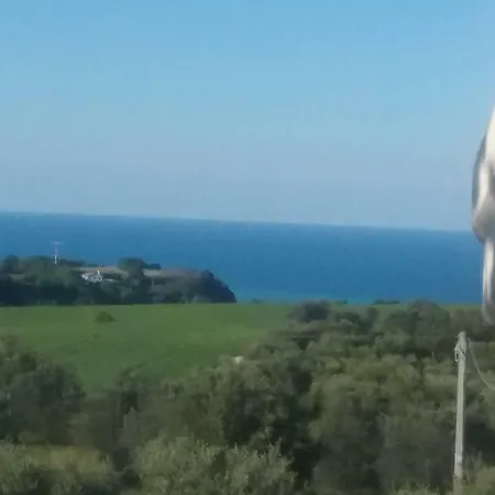 Vecchio Ulivo Grottammare