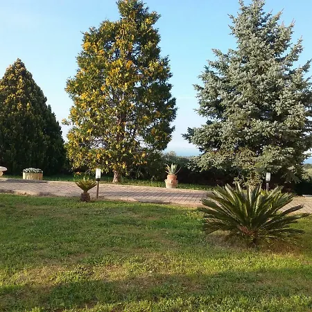 Frühstückspension Vecchio Ulivo Grottammare