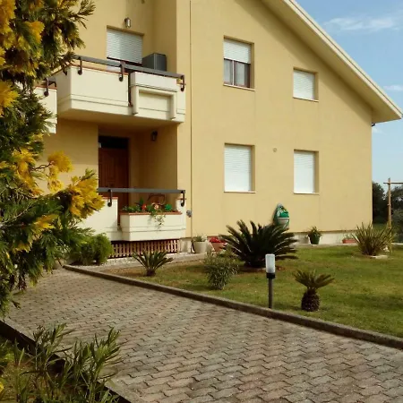 Vecchio Ulivo Grottammare