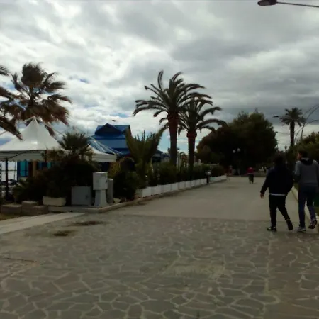 Vecchio Ulivo Grottammare