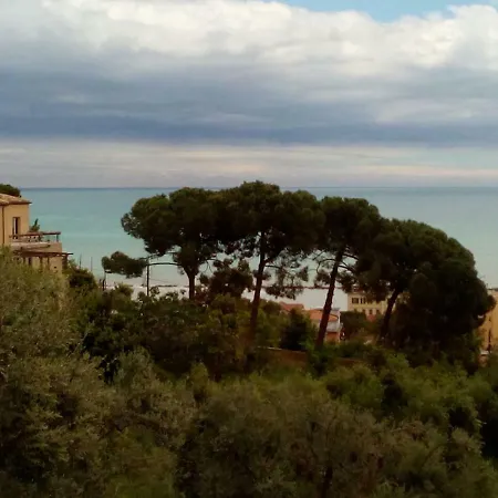 Vecchio Ulivo Grottammare